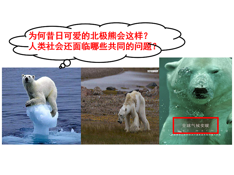 人教版道德与法治九年级下册 2.2 谋求互利共赢 课件（47张PPT）第8页