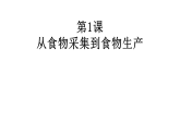 2021春人教统编版高二历史上册第1课 从食物采集到食物生产（课件）（选择性必修2经济与社会生活）