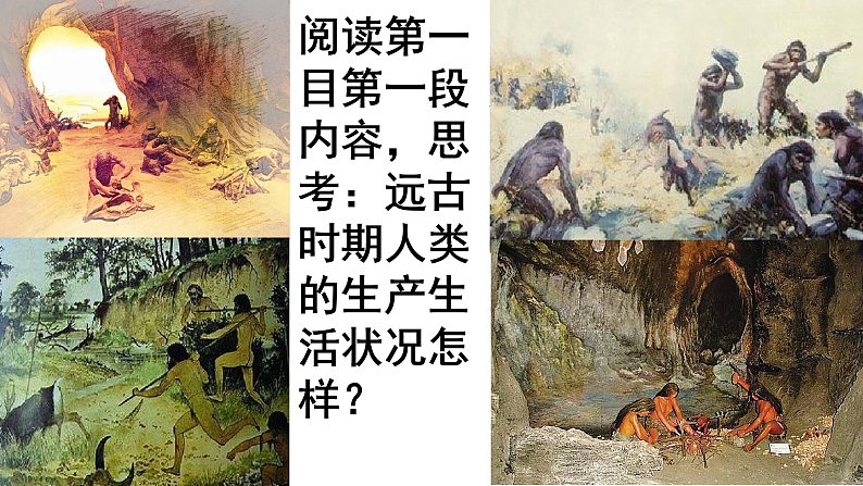 2021春人教统编版高二历史上册第1课 从食物采集到食物生产（课件）（选择性必修2经济与社会生活）04