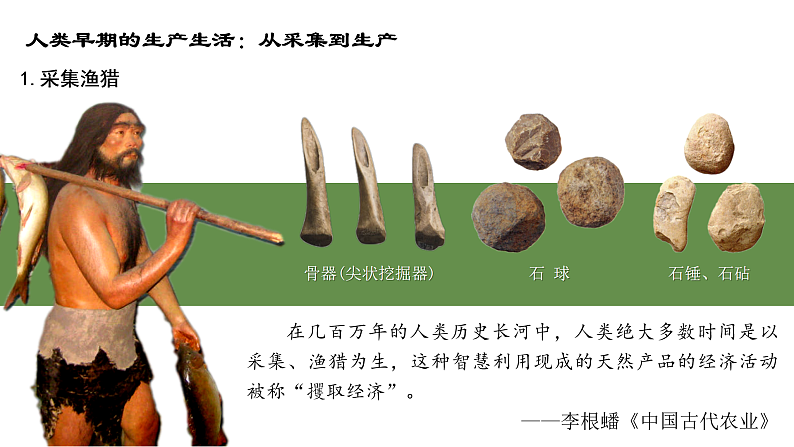 2021春人教统编版高二历史上册第1课 从食物采集到食物生产（课件）（选择性必修2经济与社会生活）05