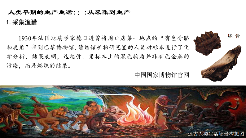 2021春人教统编版高二历史上册第1课 从食物采集到食物生产（课件）（选择性必修2经济与社会生活）06