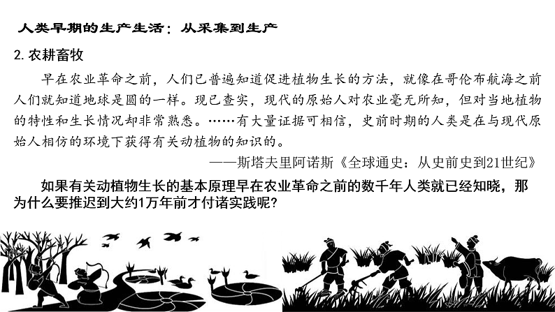 2021春人教统编版高二历史上册第1课 从食物采集到食物生产（课件）（选择性必修2经济与社会生活）08