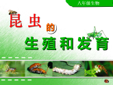 生物人教版八年级下册第七单元第一章第二节昆虫的生殖和发育.ppt