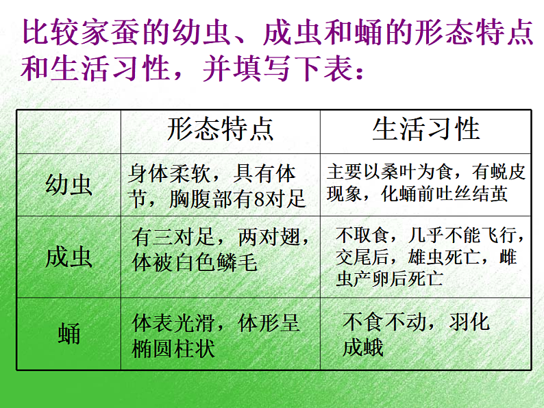 生物人教版八年级下册第七单元第一章第二节昆虫的生殖和发育.ppt06