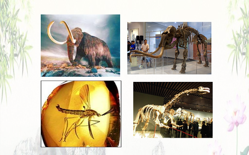 《时间的脚印》公开课一等奖课件04