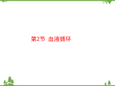 七年级下册 生物 第四单元 第9章 人体内的物质运输第2节《血液循环》课件（北师大版）