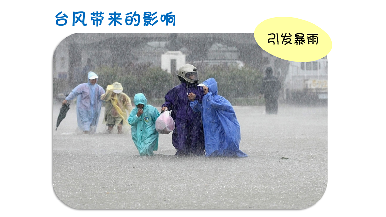 通用版 一年级主题班会 台风来了  课件（28张PPT）第5页