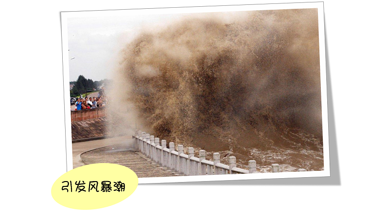 通用版 一年级主题班会 台风来了  课件（28张PPT）第6页