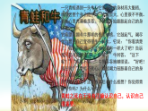 3.1 認(rèn)識(shí)自己 課件+教案- 部編版道德與法治七年級(jí)上冊(cè)