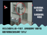 8.2 敬畏生命 課件+教案- 部編版道德與法治七年級上冊